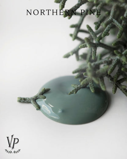 Northern PIne