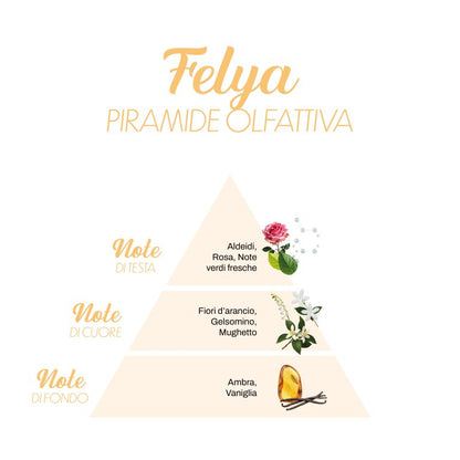 Αρωματικό πλυντηρίου FELYA (SE), 500ml