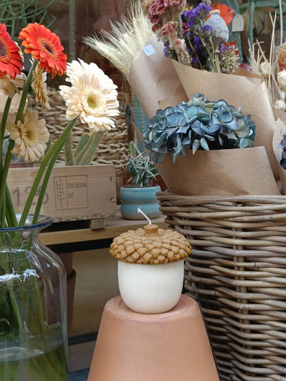 Acorn Soy Candle